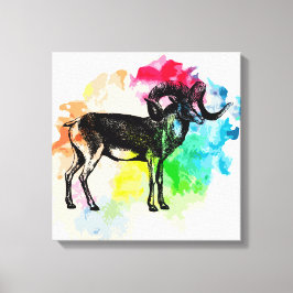 Marco polo-får canvastryck