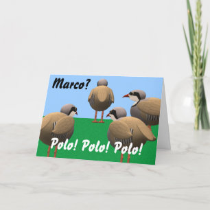 Marco Polo födelsedag Kort