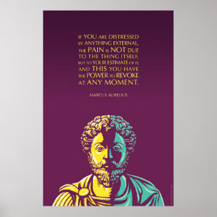 Marcus Aurelius citationstecken: Driva som ska Poster