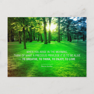 Marcus Aurelius Life Stoic Privilege Citat Life Vykort