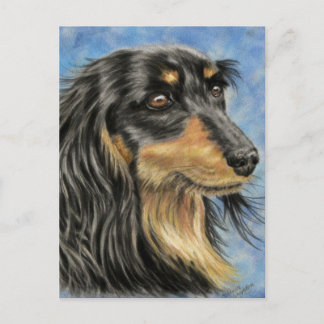 Marcus - Long Hved Dachshund Art Vykort