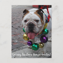 Mardi Gras Bulldog Vykort