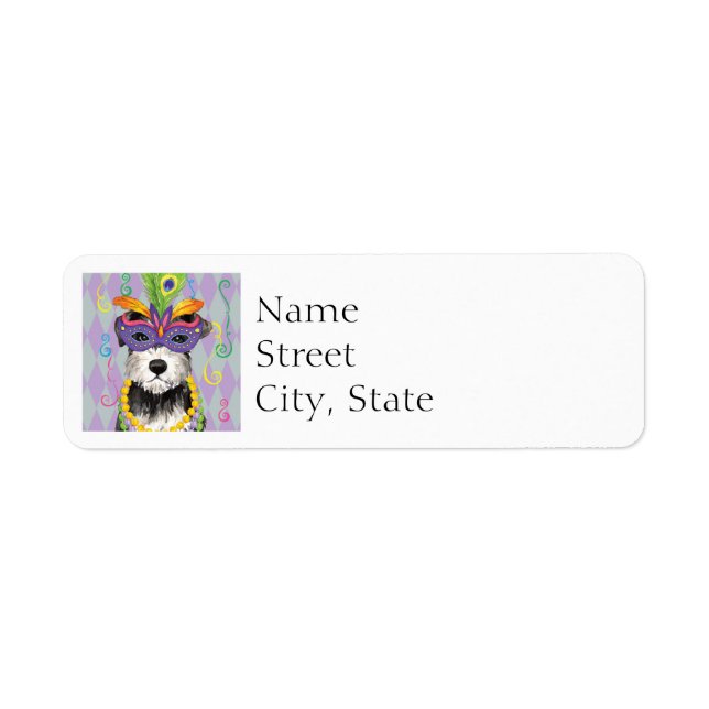 Mardi Gras Mini Schnauzer Returadress Etikett (Framsidan)