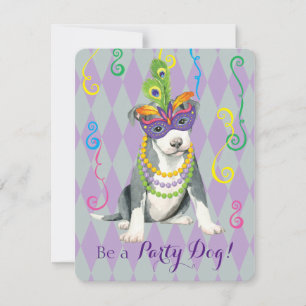 Mardi Gras Pit Bull Terrier Inbjudningar