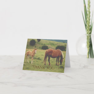 Mare and Foal Grazing on Hillside Horse Tack Kort