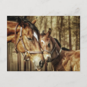 Mare and Foal - Horse Lovers Art Postcard Vykort