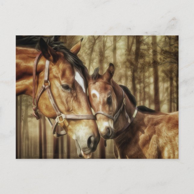 Mare and Foal - Horse Lovers Art Postcard Vykort (Framsida)