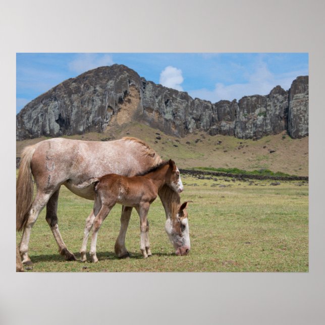 Mare & Colt vid Volcanic Crater of Rano Raraku Poster (Framsidan)