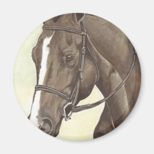Mare för HÄSTmästarebilaga QH Magnet