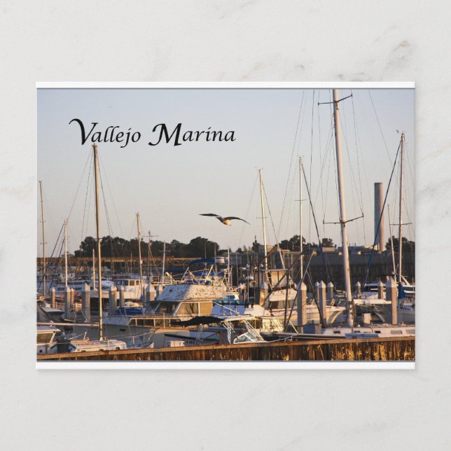Mare Island och Vallejo Marina Vykort (Framsida)