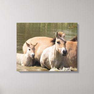 Mare med Foal Crossing a River Canvastryck