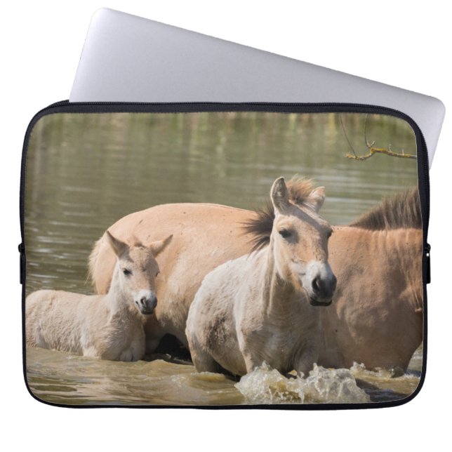 Mare med Foal Crossing a River Laptop Fodral (Framsidan)