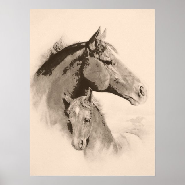 Mare-n-Foal med träkolseffektsfärgton Poster (Framsidan)