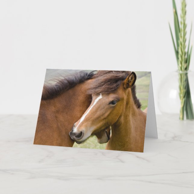 Mare och Colt Kort (Framsida)