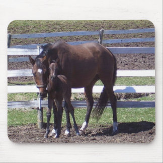 Mare och colt musmatta