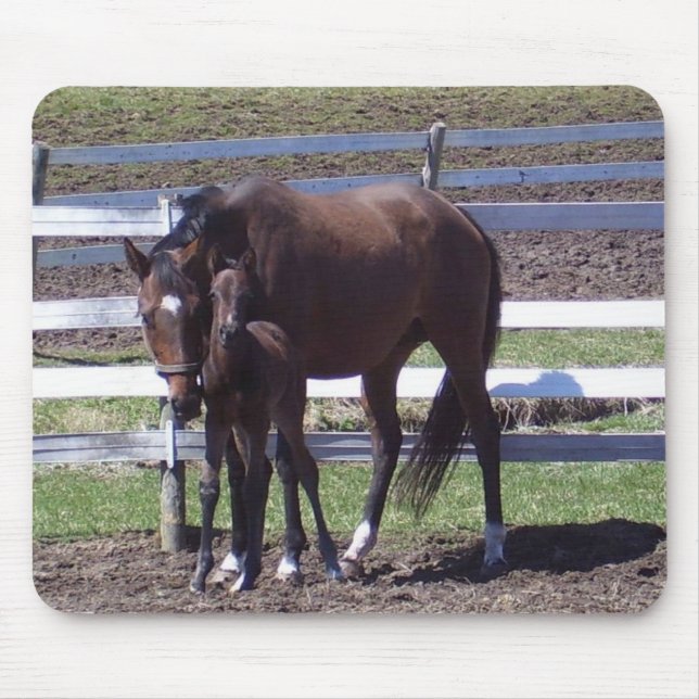 Mare och colt musmatta (Framsidan)