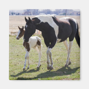 Mare och Filly Walking Magnet