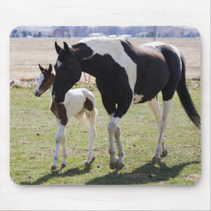 Mare och Filly Walking Musmatta
