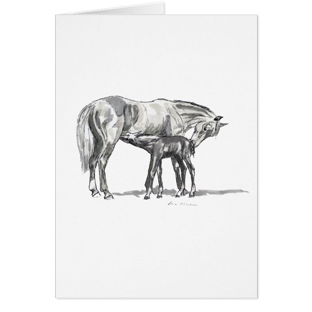 Mare och föl hälsningskort (Framsidan)