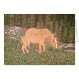 Mare och föl OBS kort