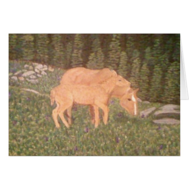 Mare och föl OBS kort (Framsidan Horizontal)