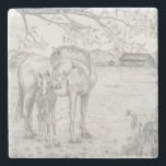 Mare och föl stenunderlägg<br><div class="desc">Mare och föl</div>