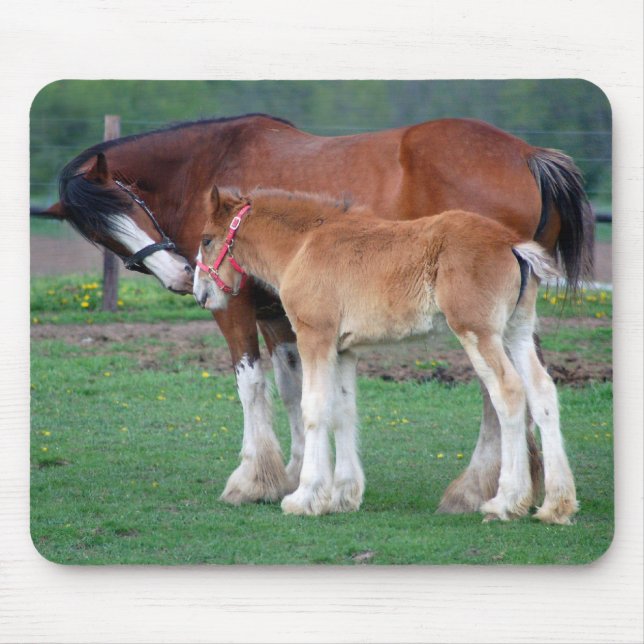 mare- och för colt 2 mousepad musmatta (Framsidan)