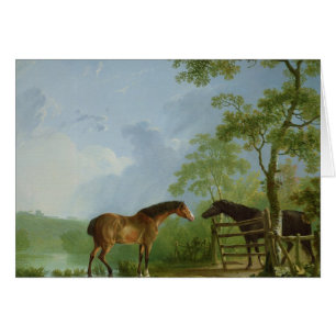 Mare och hingst i en landskap hälsningskort