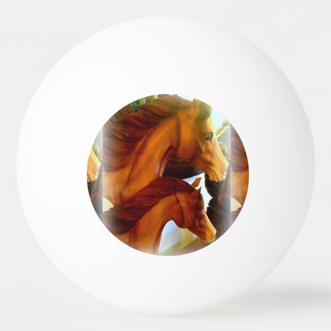 mare och ponnypning boll (Framsidan)