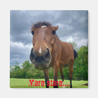 mare stare magnet