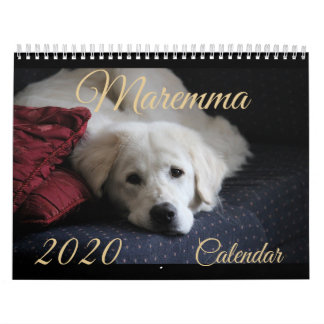 Maremma kalender 2020