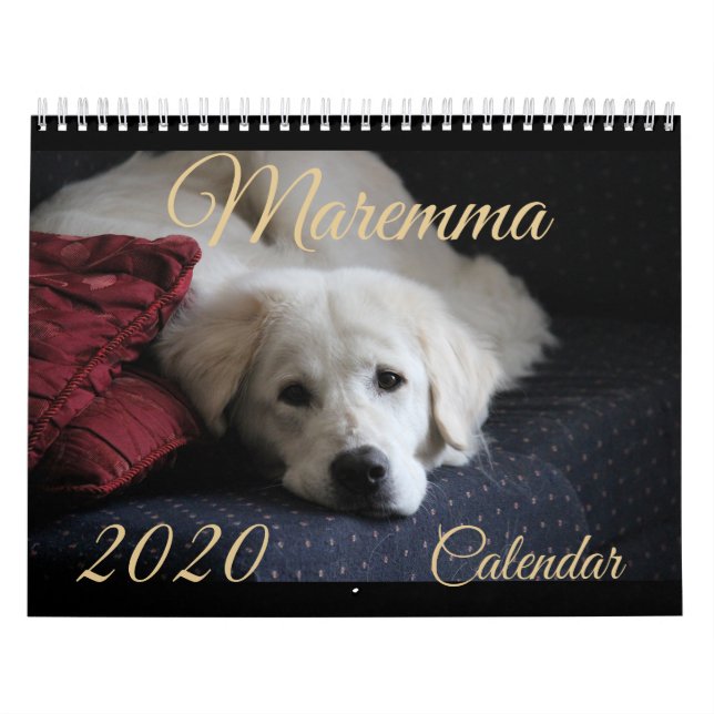 Maremma kalender 2020 (Omslag)
