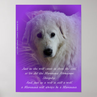 Maremma och vargen poster