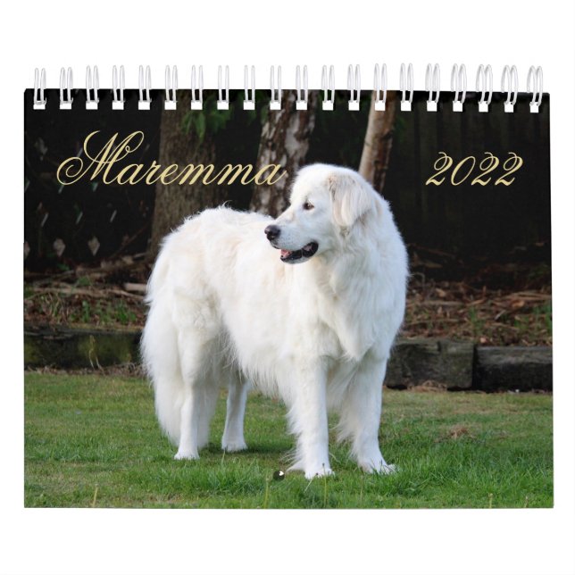 Maremma Sheepdog 2022 SmallCalendar, White Kalender (Omslag)