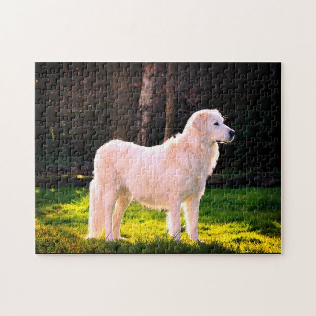 Maremma Sheepdog Beauty Pussel (Horisontell)