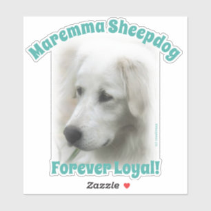 Maremma Sheepdog Forever Loyal transparent dekal
