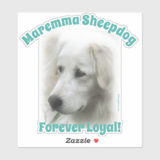 Maremma Sheepdog Forever Loyal transparent dekal