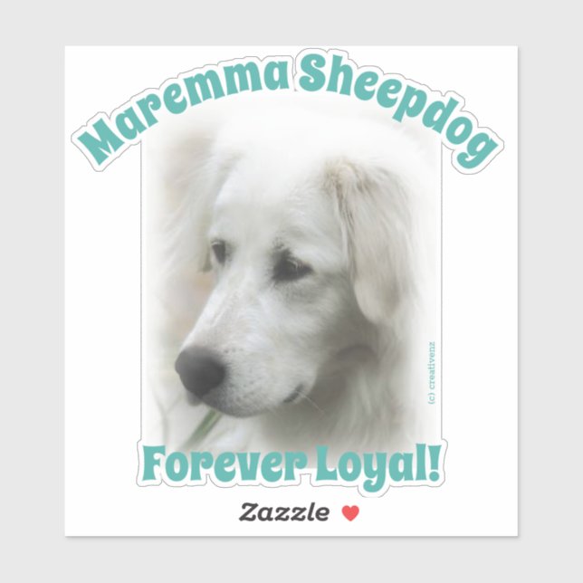 Maremma Sheepdog Forever Loyal transparent dekal (Ark)