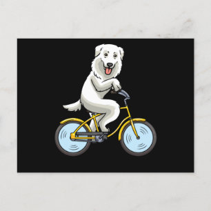Maremmano Abruzzese Sheepdog Hund Bicycle Cyclist Vykort