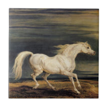 Marengo the White Horse (av James Ward)