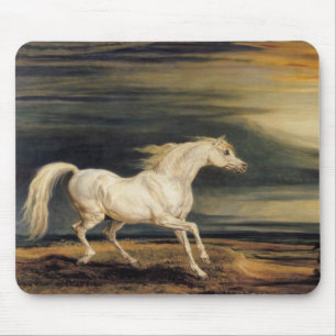 Marengo the White Horse (av James Ward) Musmatta