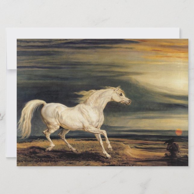 Marengo the White Horse Kort (Framsida)