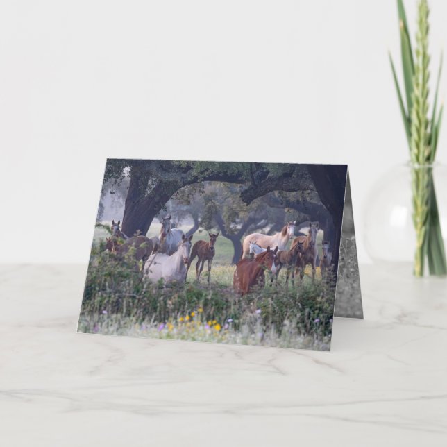 Mares and Foals in the Flowers - Greeting Card Tack Kort (Framsida)
