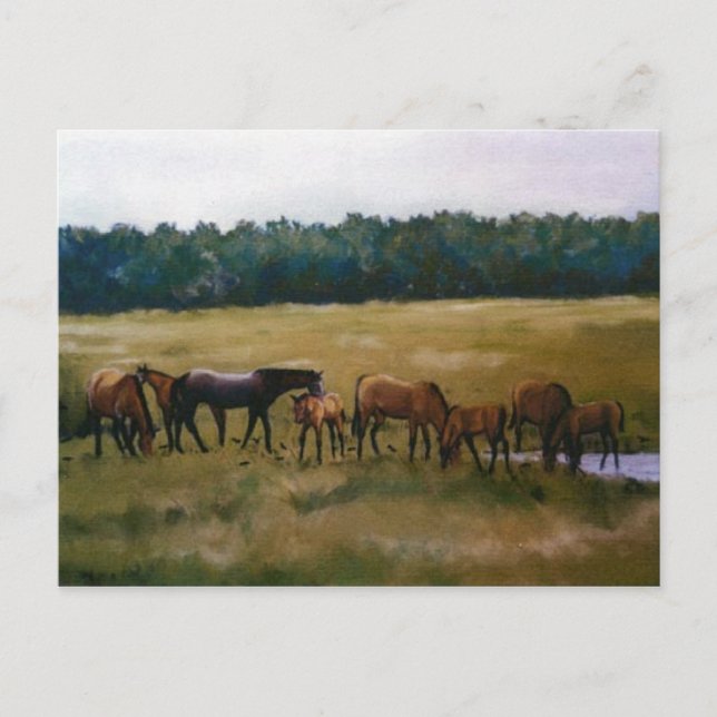 Mares and Foals Original Art Postcard Vykort (Framsida)