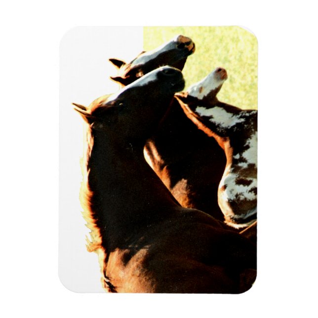 Mares and Foul Horses Magnet (Vertikal)