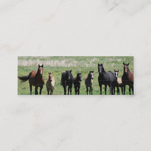 "Mares- & föl" bokmärke Mini Visitkort (Framsida)