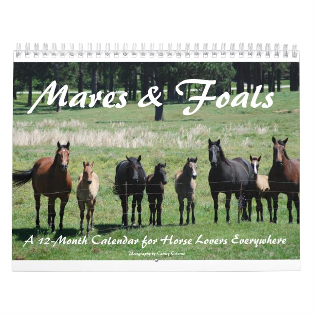 Mares- & fölkalender kalender (Omslag)