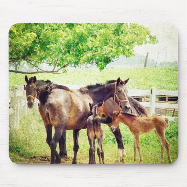 Mares och Foals Musmatta (Framsidan)