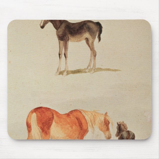 Mares och föl musmatta (Framsidan)