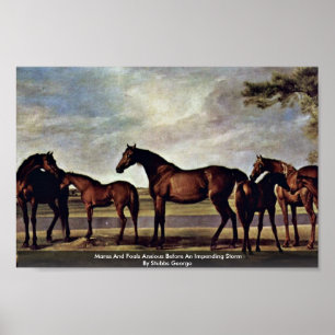 Mares och föl som är farliga före en annalkande st poster